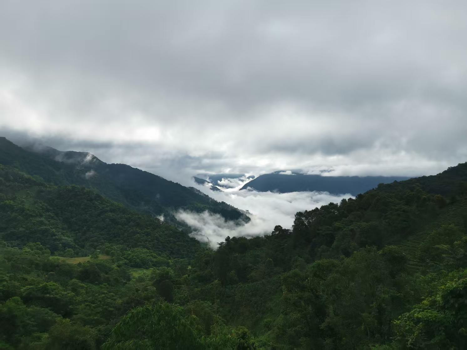 Tea mountains rising through the clouds in Yunnan